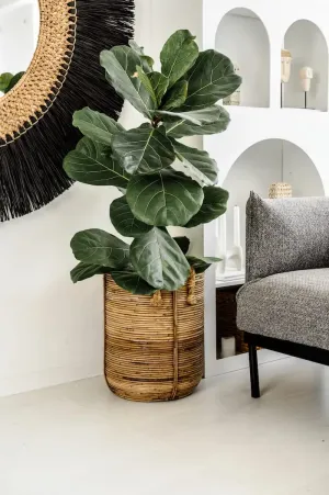 Rattanowe donice w nowoczesnych aranżacjach 