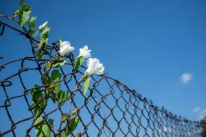 Sprzątanie w domu na święta - przydatne urządzenia